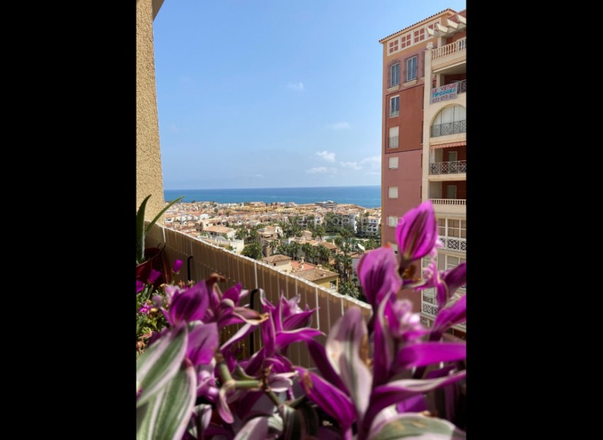 Apartamento / piso en Torrevieja Centro