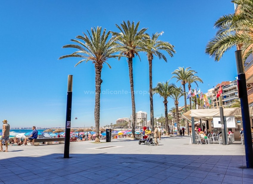Apartamento / piso en Torrevieja Centro