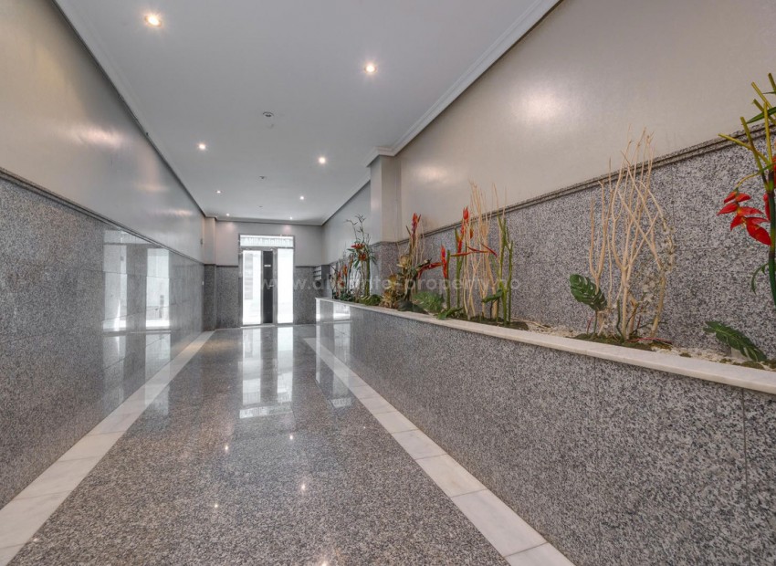 Apartamento / piso en Torrevieja Centro