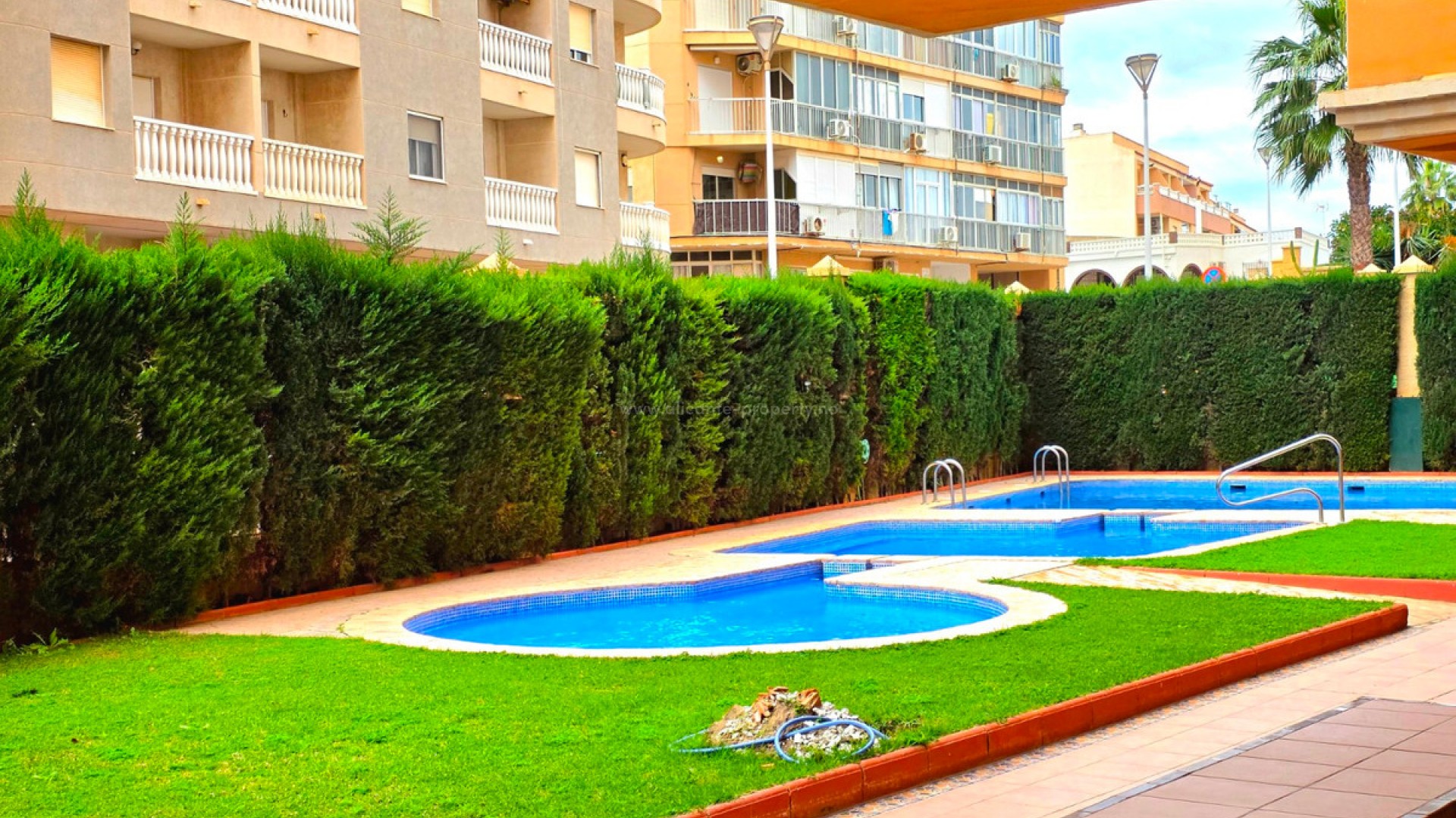 Apartamento / piso en Torrevieja Centro