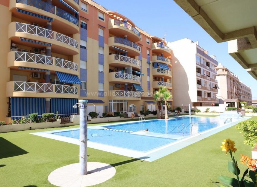 Apartamento / piso en Torrevieja Centro