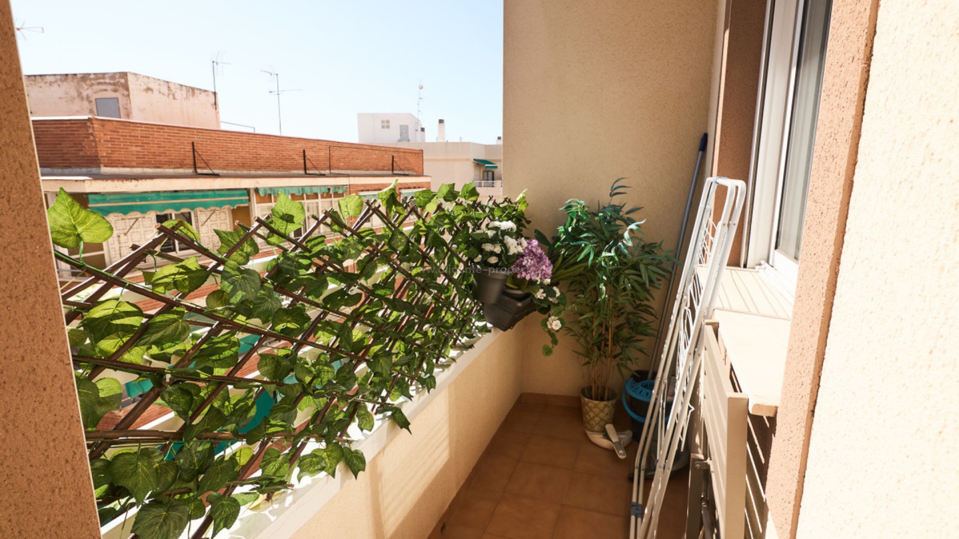 Apartamento / piso en Torrevieja Centro
