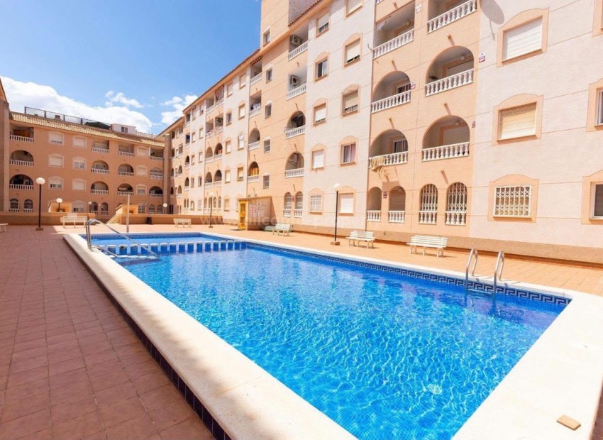 Apartamento / piso en Torrevieja Centro