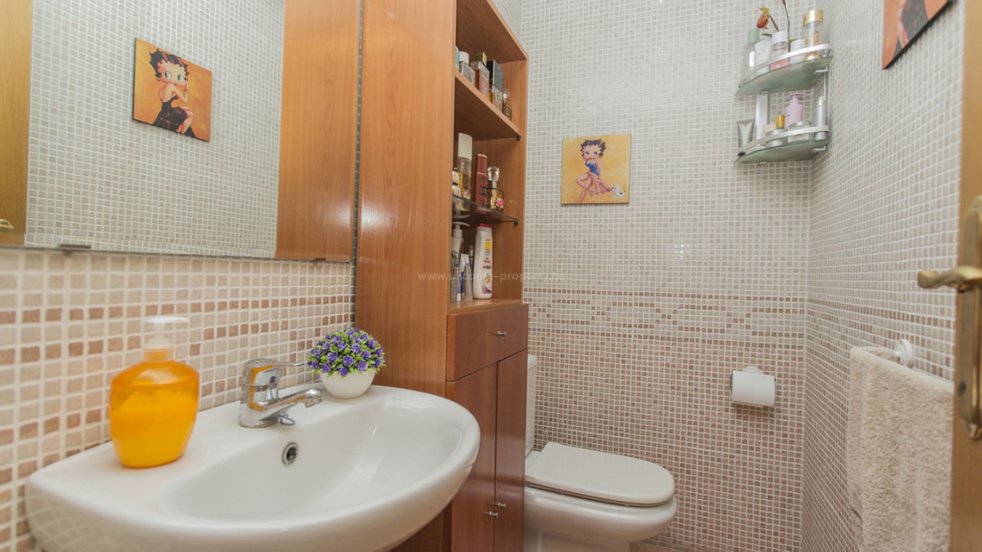 Apartamento / piso en Torrevieja Centro