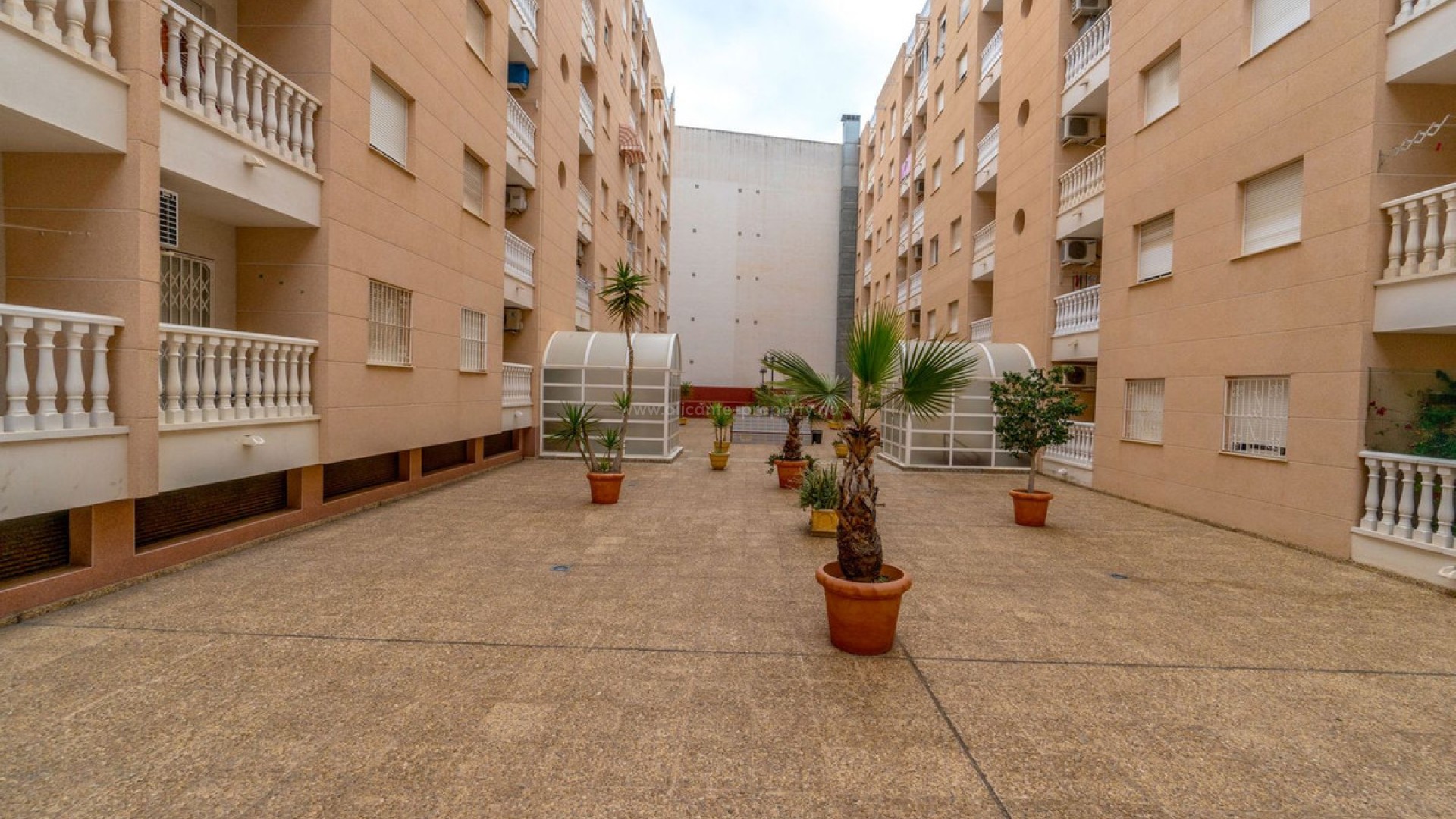 Apartamento / piso en Torrevieja Centro