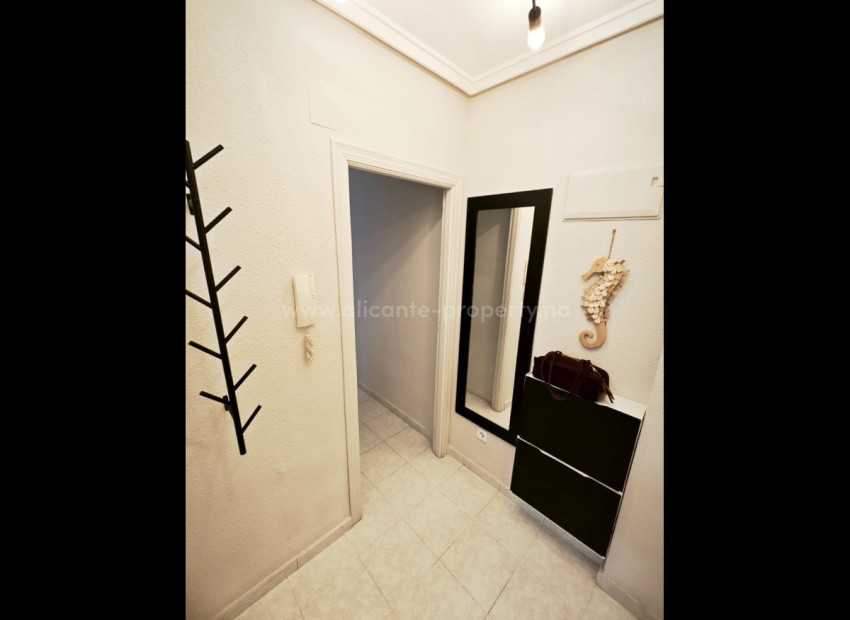 Apartamento / piso en Torrevieja Centro