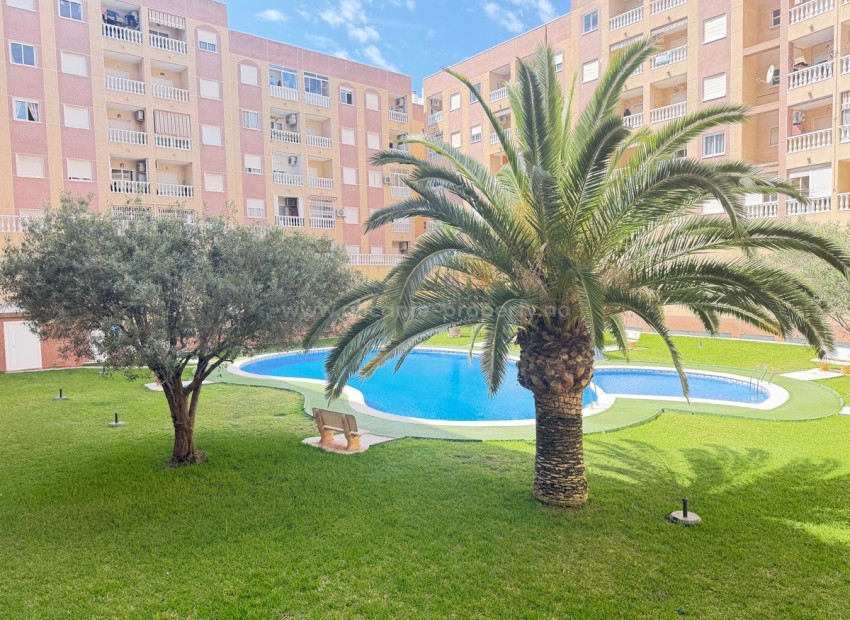 Apartamento / piso en Torrevieja Centro