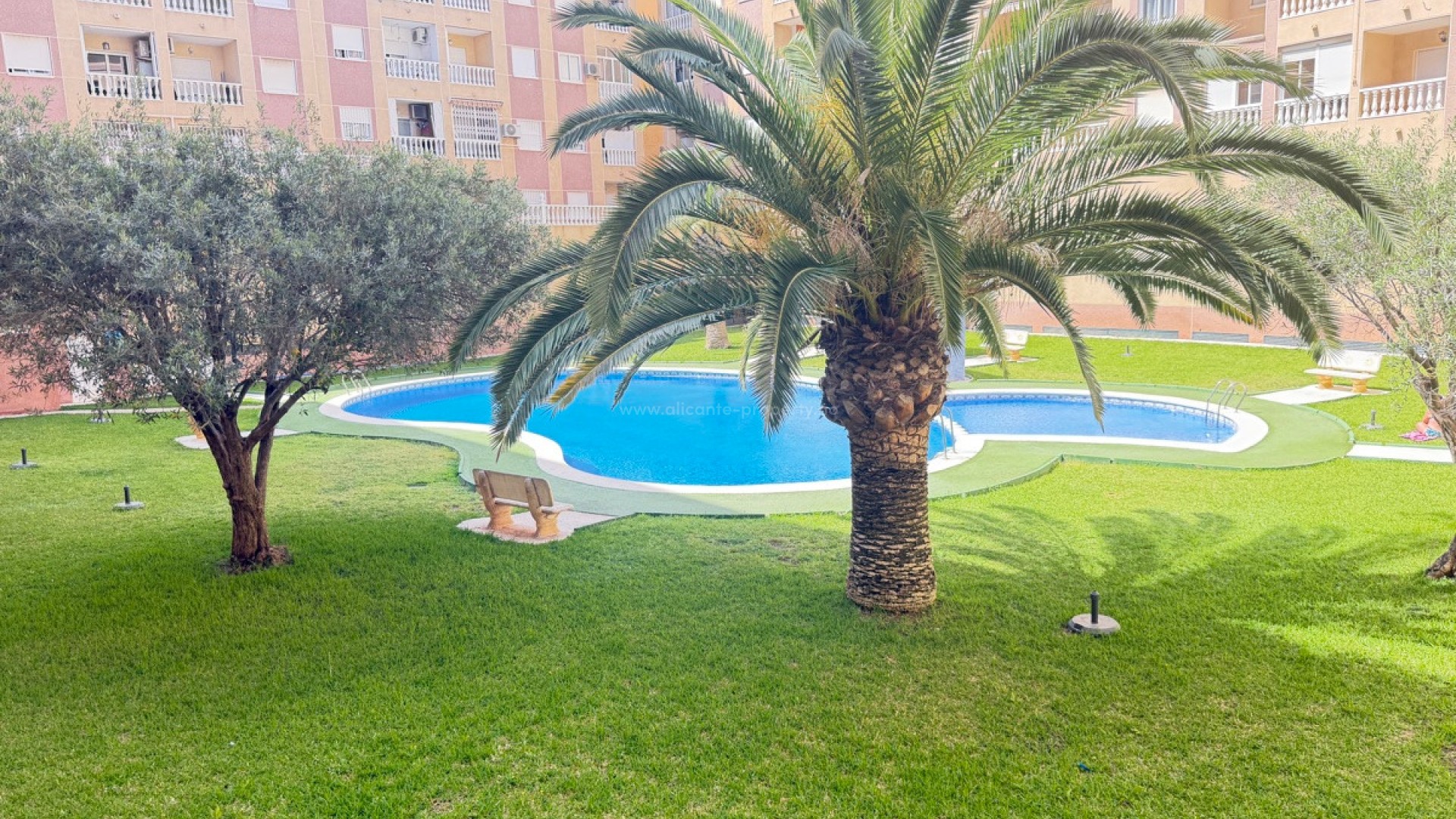 Apartamento / piso en Torrevieja Centro