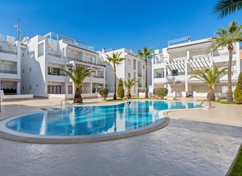 Apartamento / piso en Torrevieja Centro