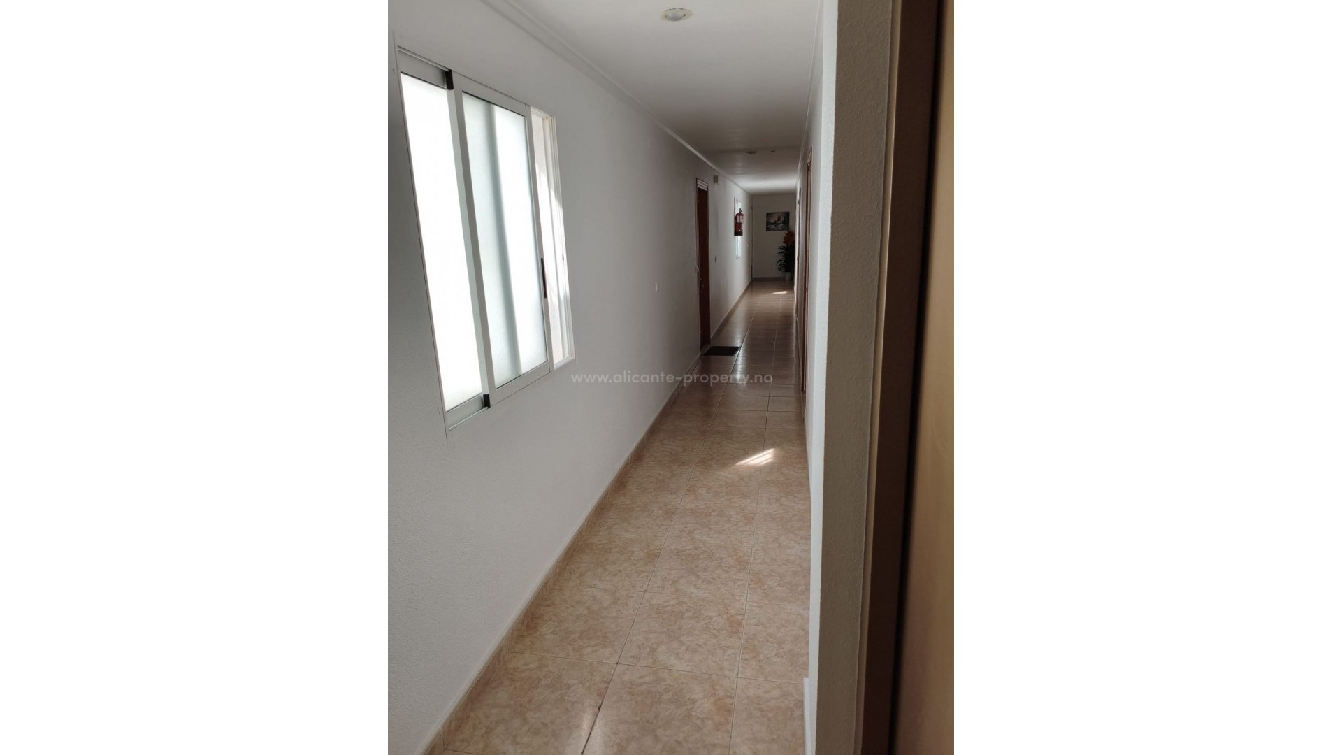 Apartamento / piso en Torrevieja Centro