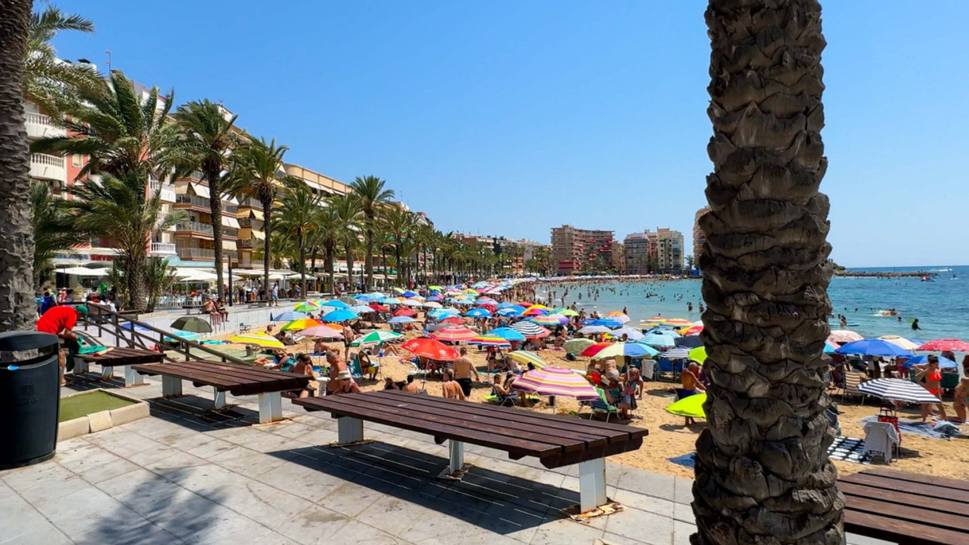 Apartamento / piso en Torrevieja