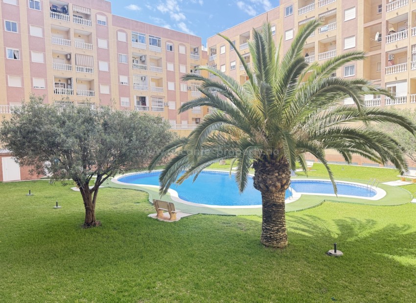 Apartamento / piso en Torrevieja