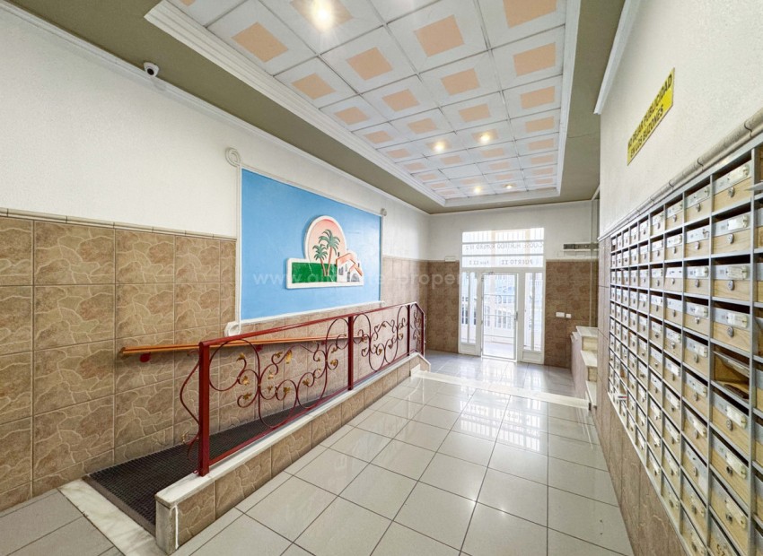 Apartamento / piso en Torrevieja