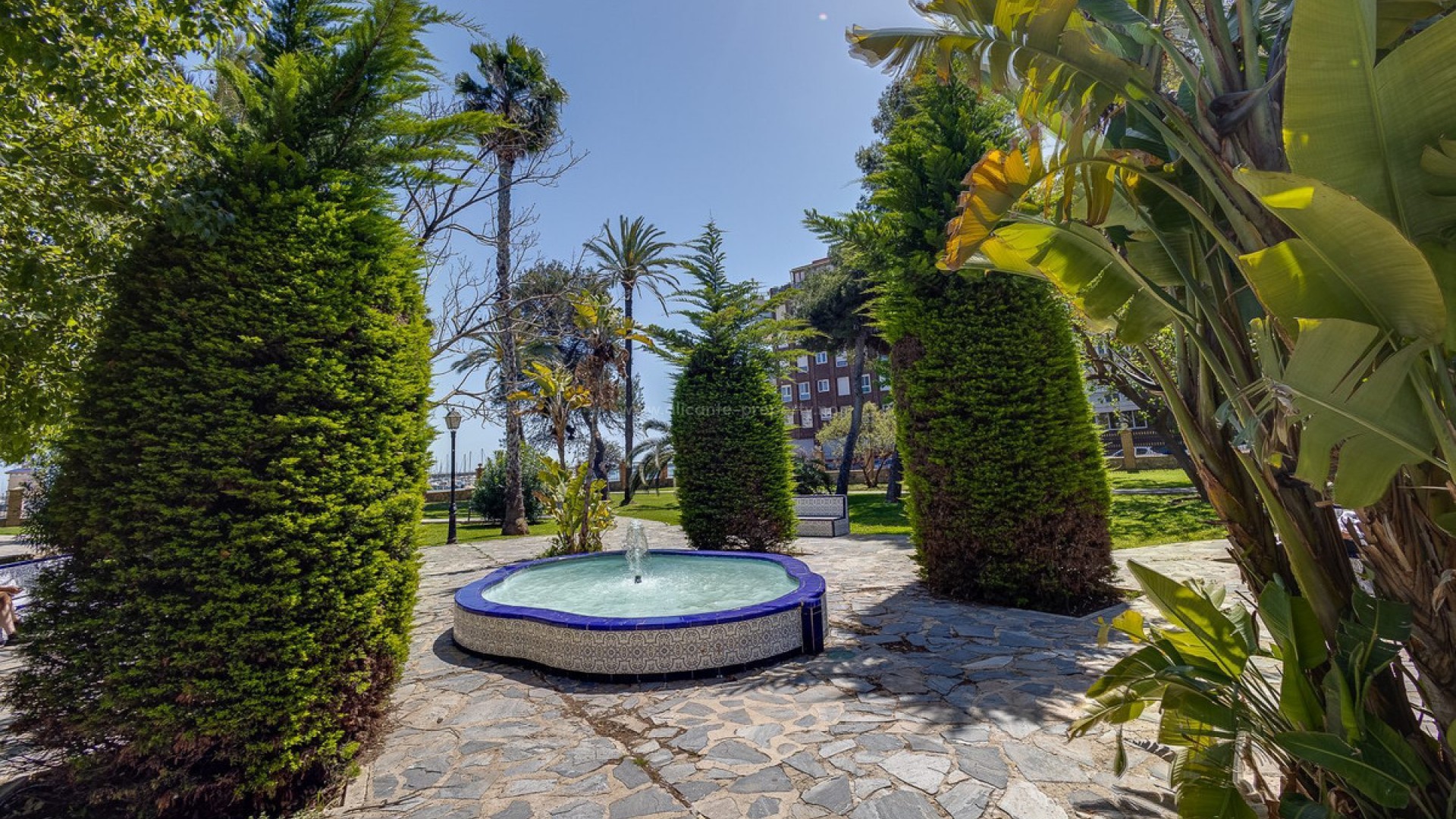 Apartamento / piso en Torrevieja