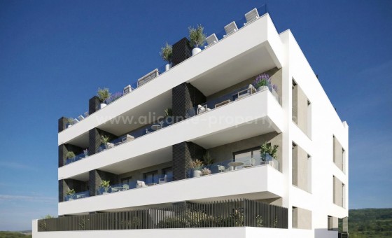 Apartamento / piso - Nueva construcción  - Benijofar - Pueblo