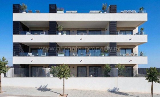 Apartamento / piso - Nueva construcción  - Benijofar - Pueblo