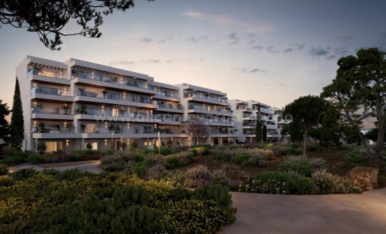 Apartamento / piso - Nueva construcción  - Denia -
                Playa de La Almadraba