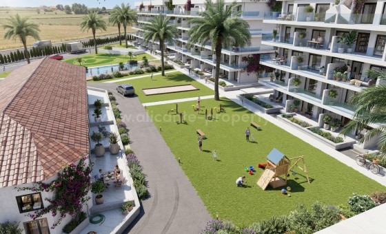 Apartamento / piso - Nueva construcción  - Guardamar del Segura - El Raso