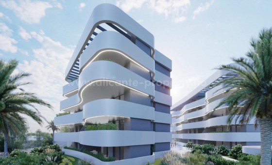 Apartamento / piso - Nueva construcción  - Guardamar del Segura - NBE-66417