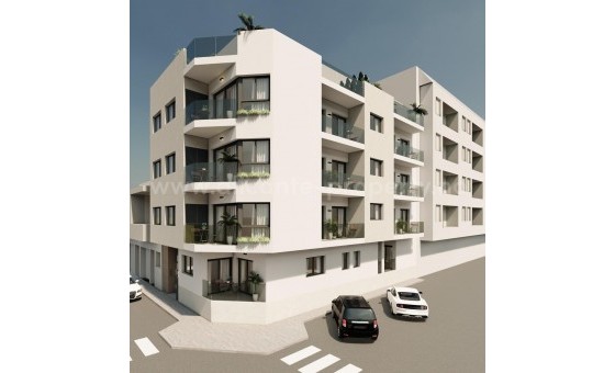 Apartamento / piso - Nueva construcción  - Guardamar del Segura -
                Pueblo