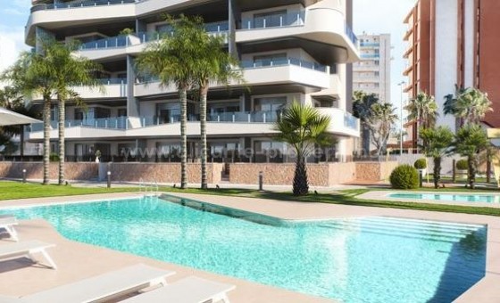 Apartamento / piso - Nueva construcción  - Guardamar del Segura - Puerto