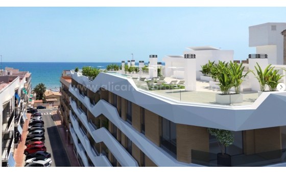 Apartamento / piso - Nueva construcción  - Guardamar del Segura - Puerto