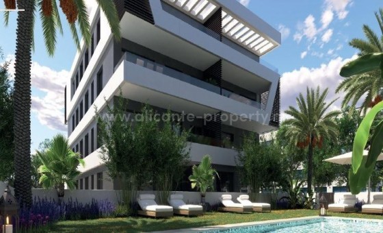 Apartamento / piso - Nueva construcción  - San Juan Alicante - Frank Espinós