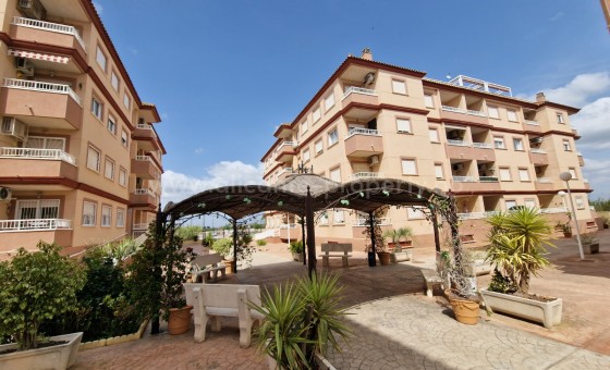 Apartamento / piso - Reventa - Algorfa -
                Algorfa