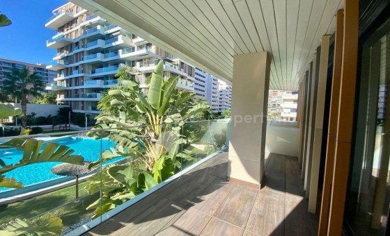 Apartamento / piso - Reventa - Alicante -
                Alicante Centro