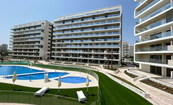 Apartamento / piso - Reventa - Alicante -
                Alicante Centro