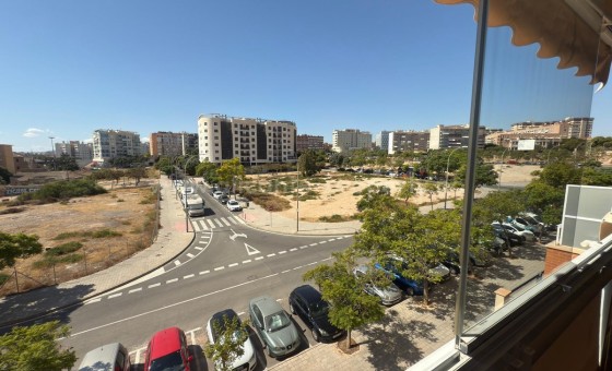 Apartamento / piso - Reventa - Alicante -
                Alicante Centro