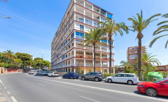 Apartamento / piso - Reventa - Alicante -
                Alicante