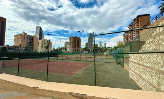 Apartamento / piso - Reventa - Benidorm -
                Benidorm Centro