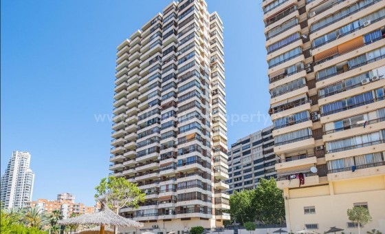 Apartamento / piso - Reventa - Benidorm -
                Benidorm Centro