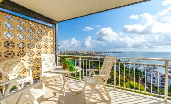 Apartamento / piso - Reventa - Campoamor -
                Campoamor