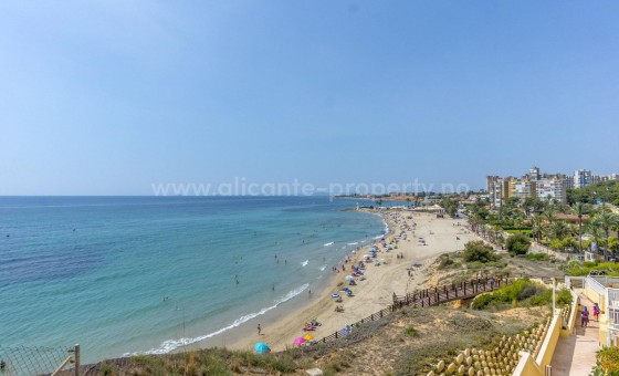Apartamento / piso - Reventa - Campoamor -
                Campoamor