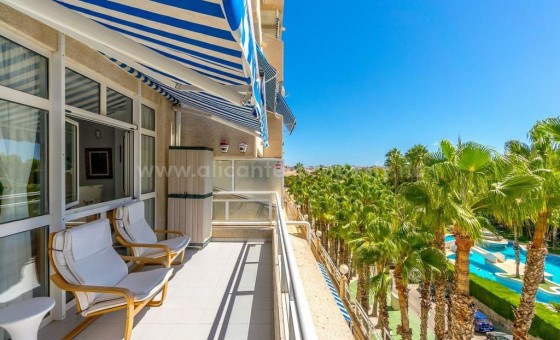 Apartamento / piso - Reventa - Campoamor -
                Campoamor