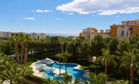 Apartamento / piso - Reventa - Campoamor -
                Campoamor