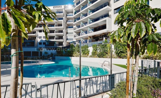Apartamento / piso - Reventa - Campoamor -
                Campoamor