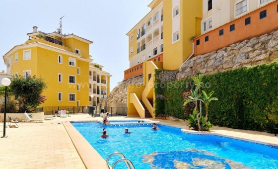 Apartamento / piso - Reventa - Campoamor -
                Campoamor