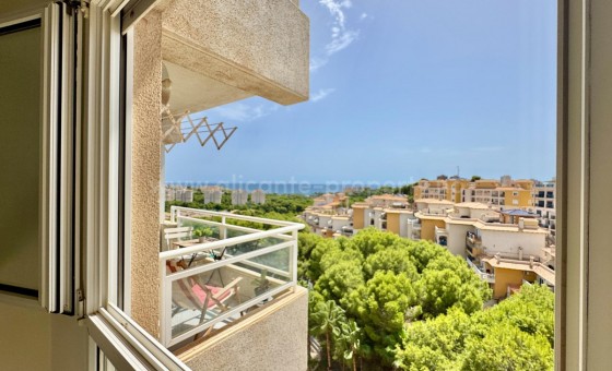 Apartamento / piso - Reventa - Campoamor -
                Campoamor