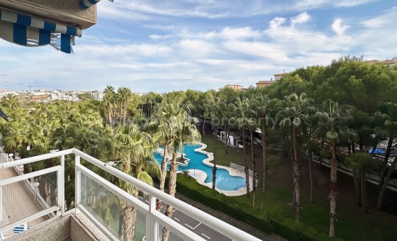 Apartamento / piso - Reventa - Campoamor -
                Campoamor