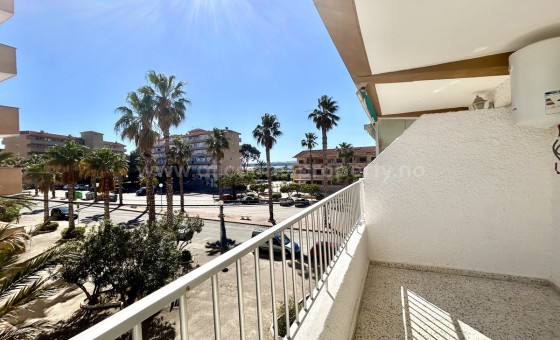 Apartamento / piso - Reventa - Guardamar del Segura - Guardamar del Segura Centro
