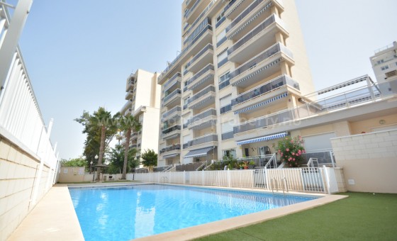 Apartamento / piso - Reventa - Guardamar del Segura - Guardamar del Segura Centro