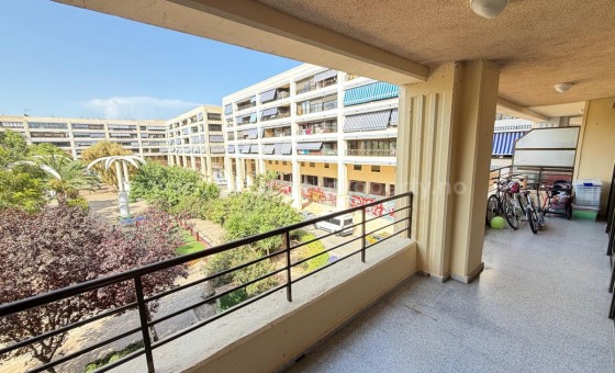 Apartamento / piso - Reventa - Guardamar del Segura - Guardamar del Segura Centro