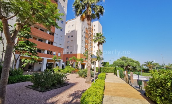 Apartamento / piso - Reventa - Guardamar del Segura - Guardamar del Segura