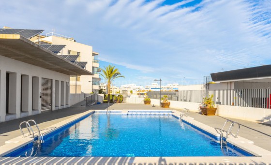 Apartamento / piso - Reventa - Los Dolses - Los Dolses