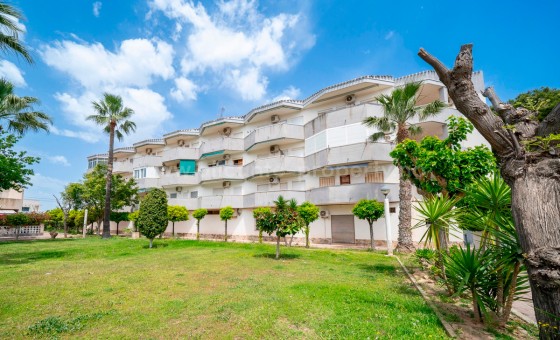Apartamento / piso - Reventa - Orihuela - Cabo Roig
