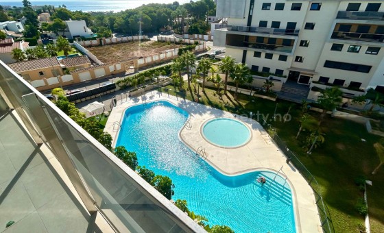Apartamento / piso - Reventa - Orihuela - Campoamor