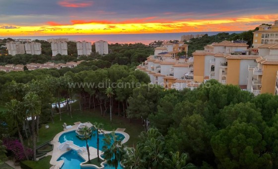 Apartamento / piso - Reventa - Orihuela - Dehesa de Campoamor